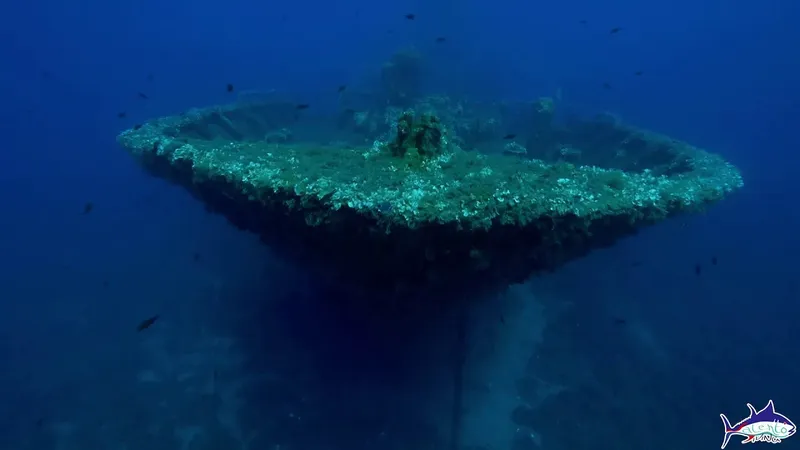 Épave recouverte d'algues et de coraux, vue sous-marine profonde