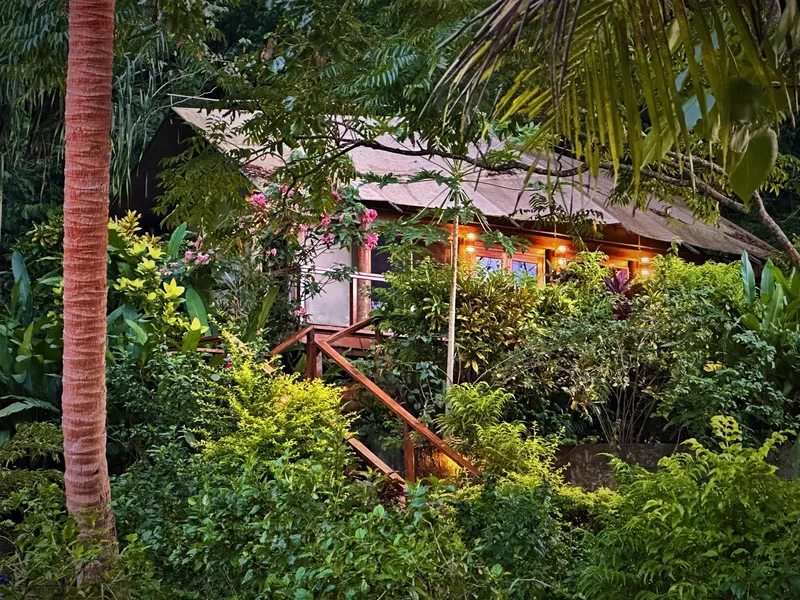 Petite maison en bois éclairée, entourée d'une végétation tropicale luxuriante