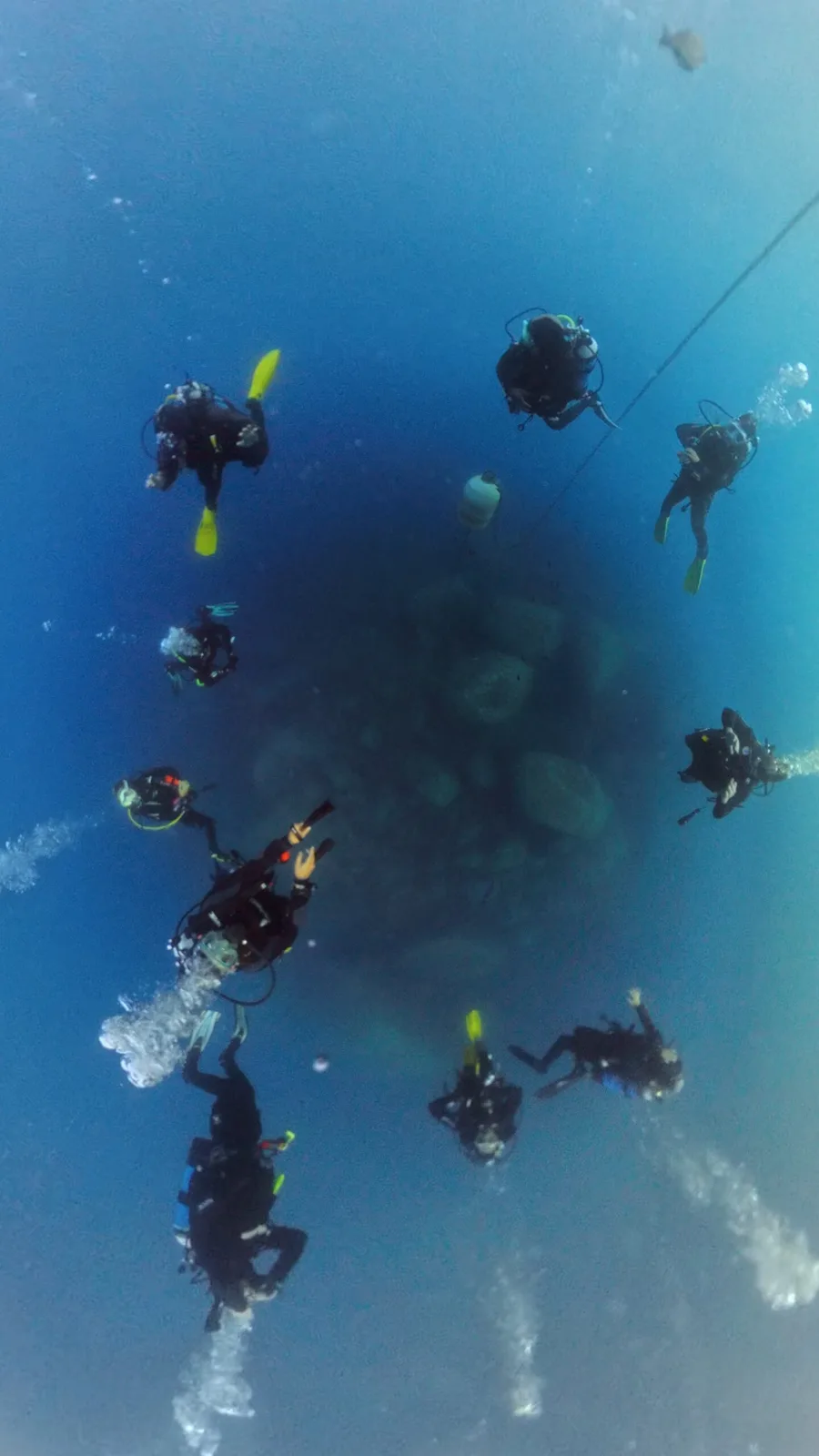Groupe de plongeurs explorant un récif corallien bleu profond
