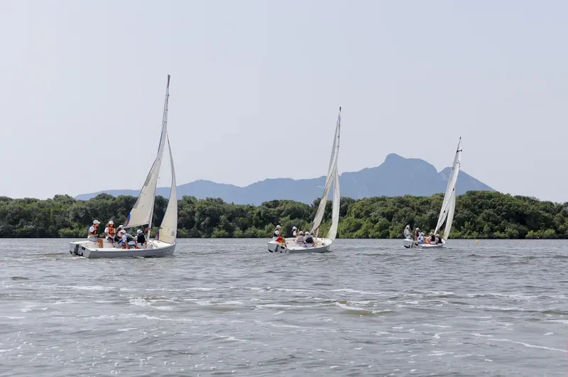 Trois voiliers naviguent sur une étendue d'eau calme et ensoleillée