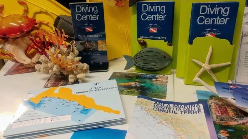 Présentation de brochures, décorations marines et présentoirs de centre de plongée