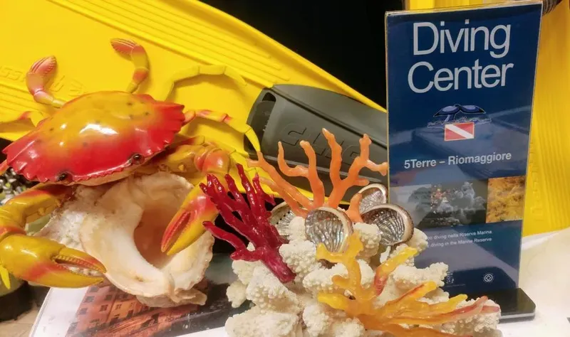 Décoration marine artificielle, crabe, corail, et affiche centre de plongée