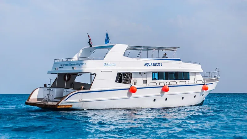 Bateau de plongée blanc et bleu naviguant sur une mer calme