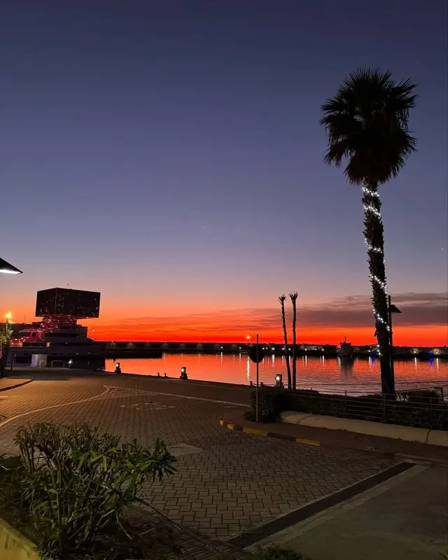 Coucher de soleil sur le port avec palmiers et bâtiments illuminés