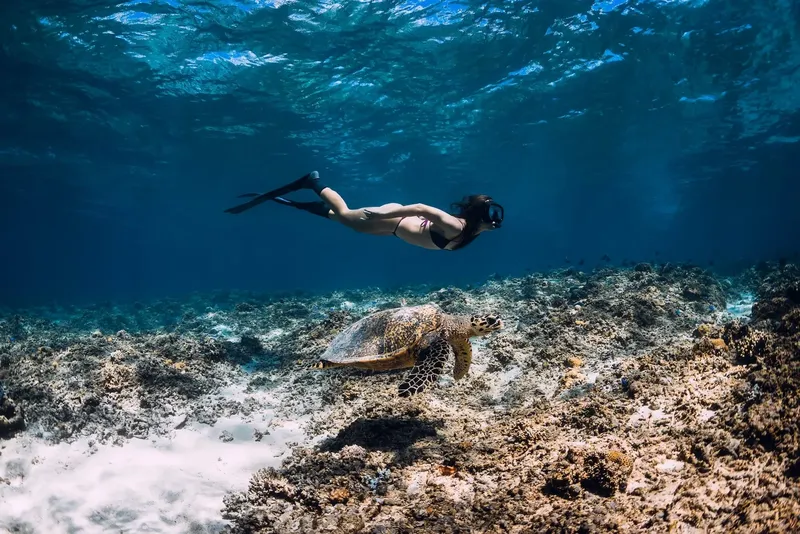 Une nageuse et une tortue marine évoluent dans un récif corallien