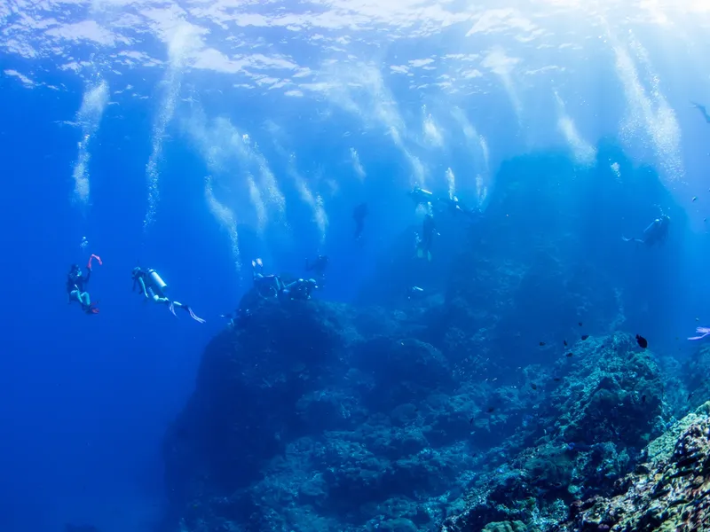 Groupe de plongeurs explorant un récifal corallien en eau bleue