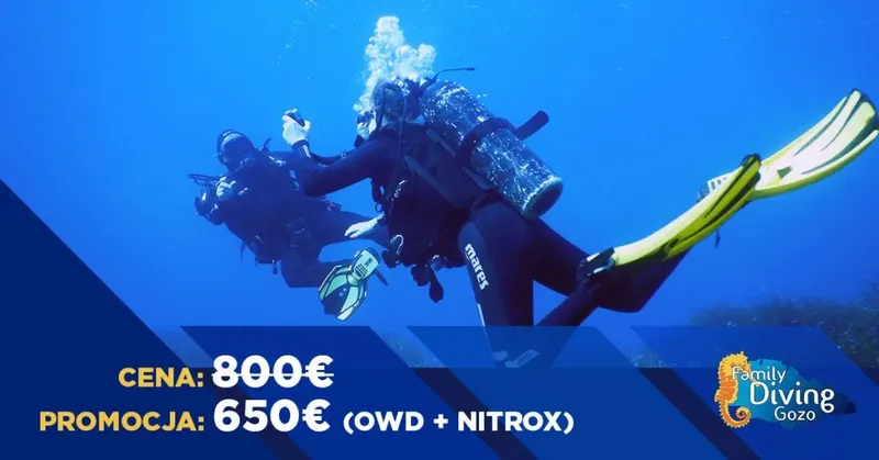 Trois plongeurs en combinaison explorent les fonds marins bleus et clairs