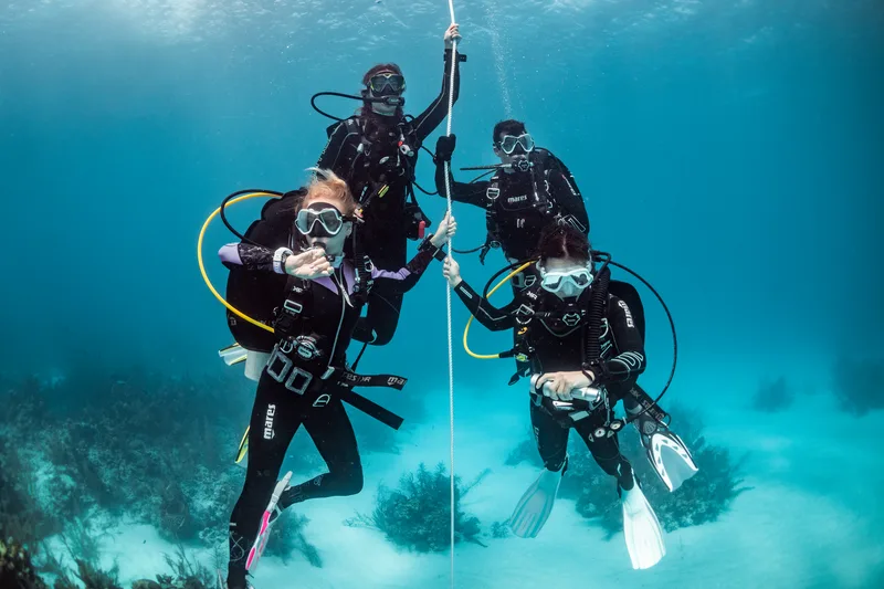 Quatre plongeurs en combinaison s'amusent et interagissent sous l'eau