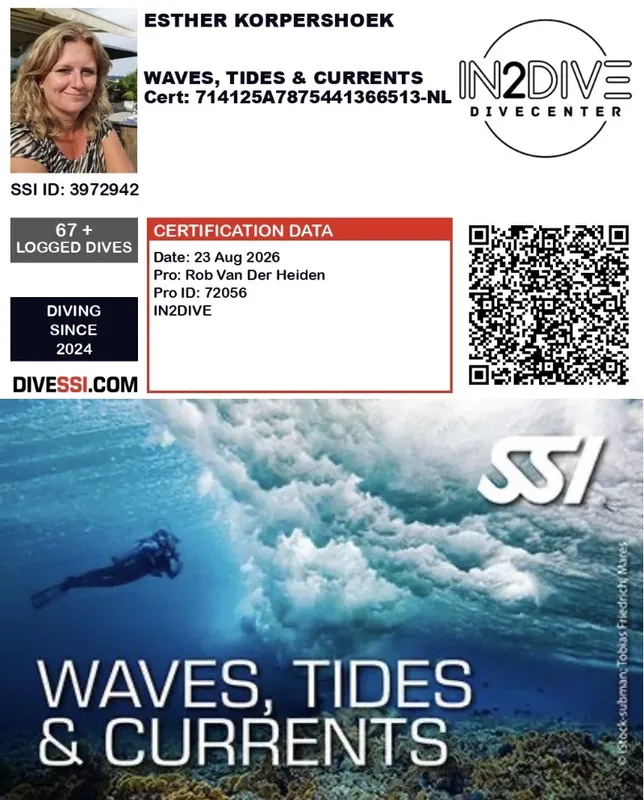Plongeuse sous les vagues, certification SSI, données de plongée et informations