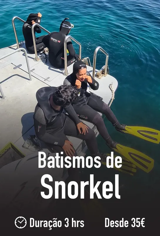 Plongeurs en combinaison sur un bateau, préparation pour une sortie