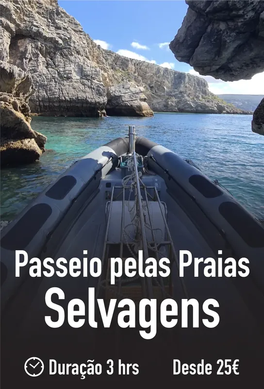 Vue depuis un bateau pneumatique vers des falaises et la mer