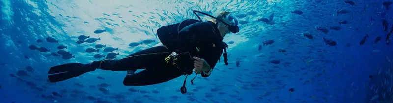 Plongeur en combinaison noire explore un récif poissonneux en mer