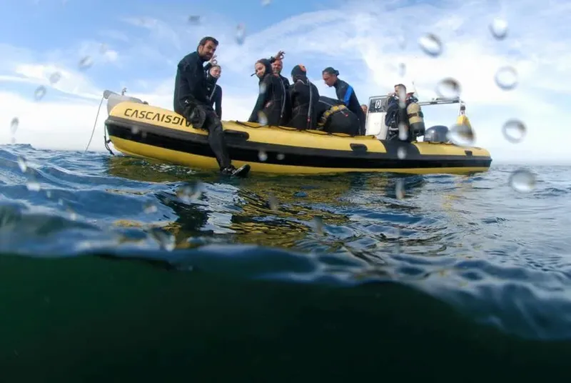 Plongée : un semi-rigide jaune avec des plongeurs sur l'eau