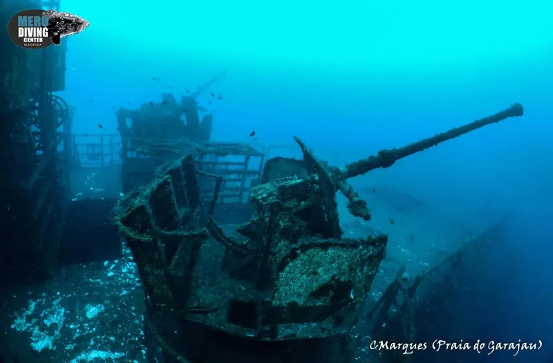 Épave de navire coulé, colonisée par la vie marine, vue sous-marine