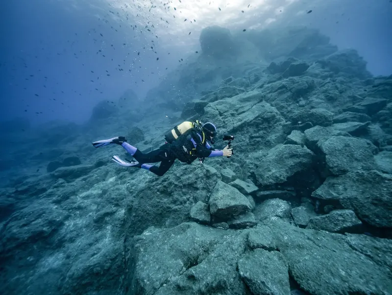 Plongeur photographiant un paysage rocheux sous-marin avec des poissons