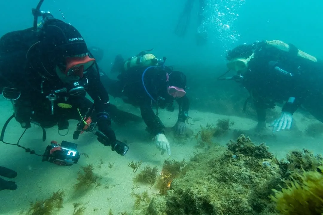 DiveSpot, Algarve-Portugal
