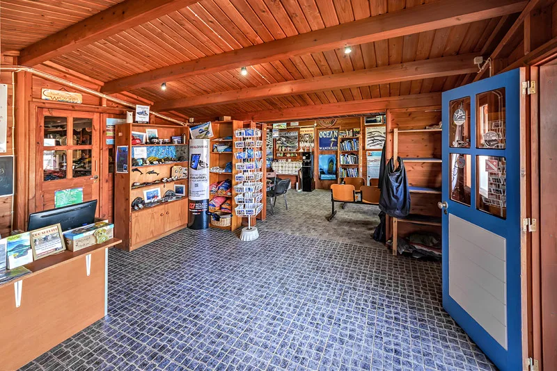 Interieur d'un centre de plongee avec comptoir, étagères et équipements