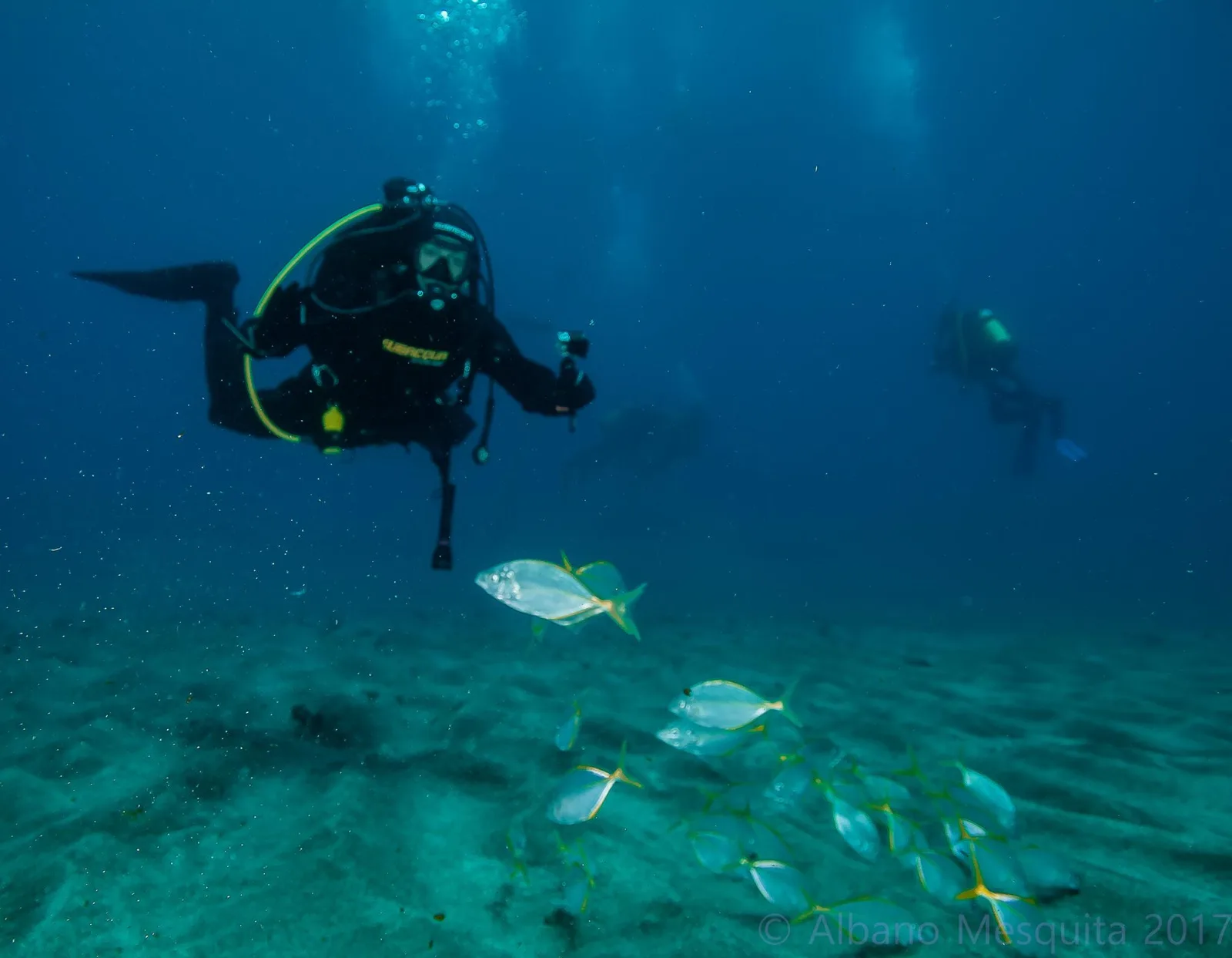 DivingGraciosa
