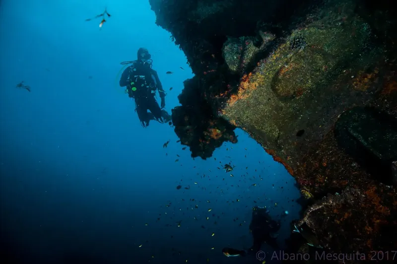 Plongeur explorant une épave sous-marine avec des bancs de poissons