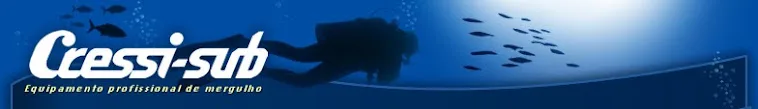 Plongeur en silhouette nageant avec un banc de poissons bleus