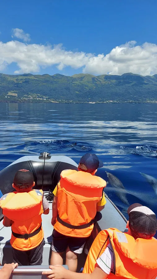 Personnes à bord d'un bateau regardent des dauphins nager