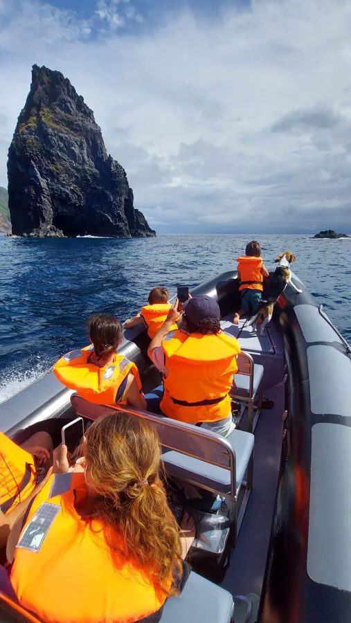 Passagers en gilets de sauvetage regardent un rocher en mer