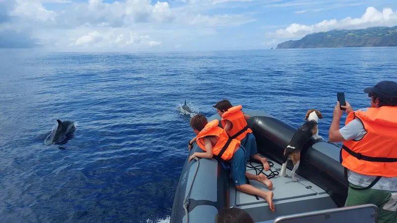 Enfants et chien observent des dauphins sautant depuis un bateau pneumatique