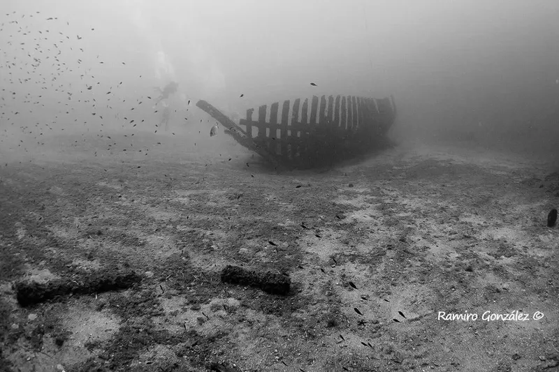 Epave de bateau sur fond sableux avec un plongeur et poissons