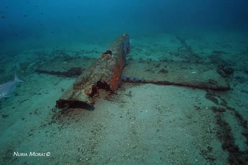 Epave rouillée reposant sur un fond sablonneux en milieu marin