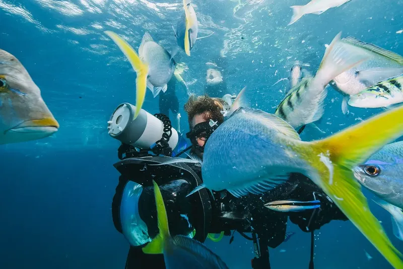 Plongeur entouré de nombreux poissons colorés dans l'eau bleue