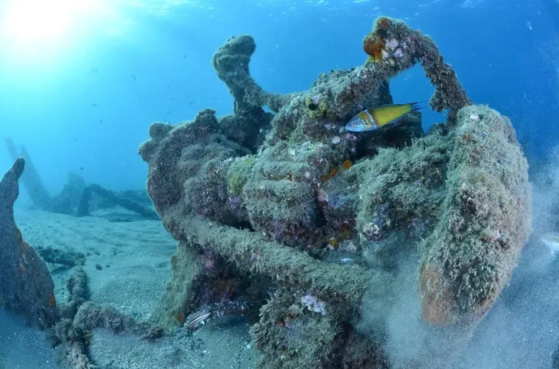 Epave colonisée par la vie marine avec des poissons colorés