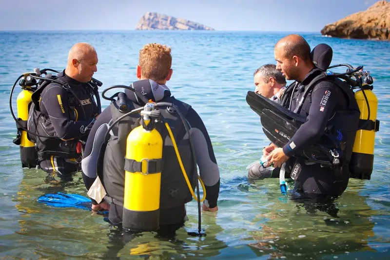 Plongeurs en combinaison discutent dans l'eau peu profonde près du rivage
