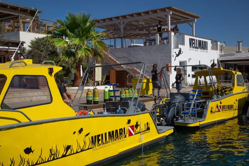 Bateaux de plongée jaunes amarrés devant un centre avec des personnes