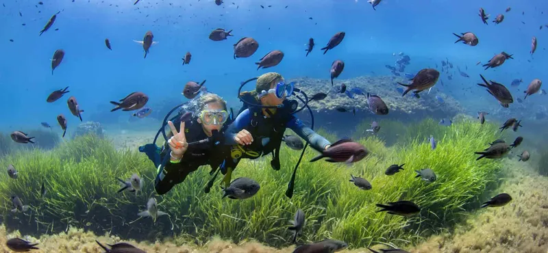 Deux plongeurs souriants avec des poissons dans un milieu marin