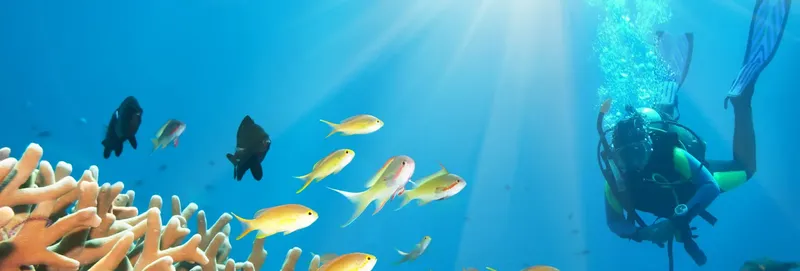 Plongeur avec équipement entouré de poissons tropicaux dans l'eau bleue