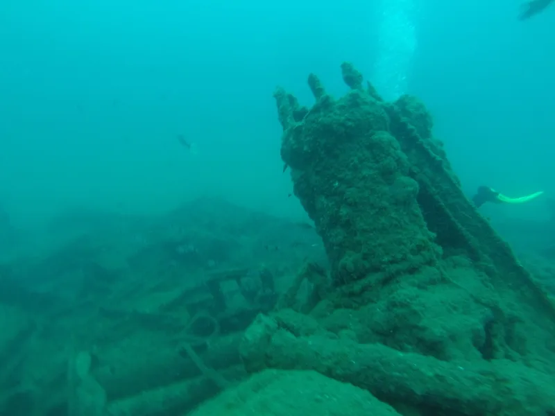 Epave recouverte d'algues et de vie marine, plongée sous-marine