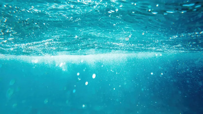 Vue sous-marine avec la surface de l'eau et des bulles lumineuses