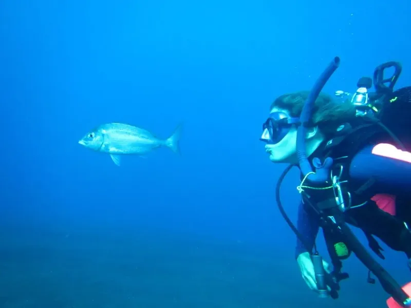 Plongeuse observant un poisson dans l'eau bleue, exploration sous-marine