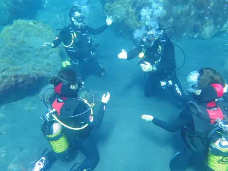 Quatre plongeurs communiquent sous l'eau dans un environnement marin bleu