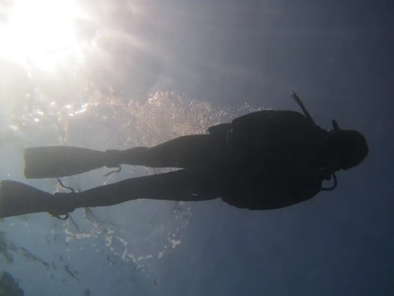 Plongeur en silhouette nageant vers le soleil dans l'eau bleue