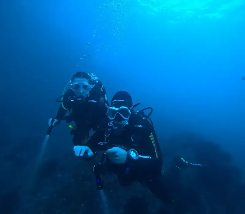 Deux plongeurs en combinaison scrutent l'horizon dans l'eau bleue