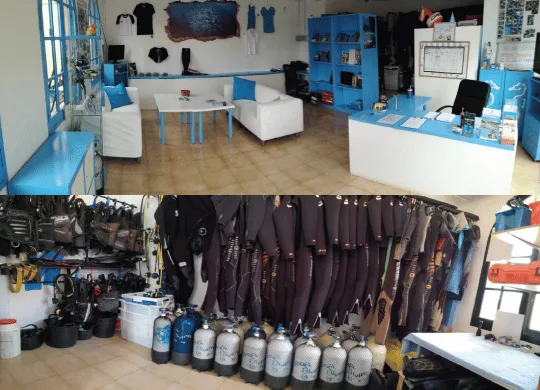 Intérieur d'un centre de plongée avec matériel, comptoir d'accueil et combinaisons