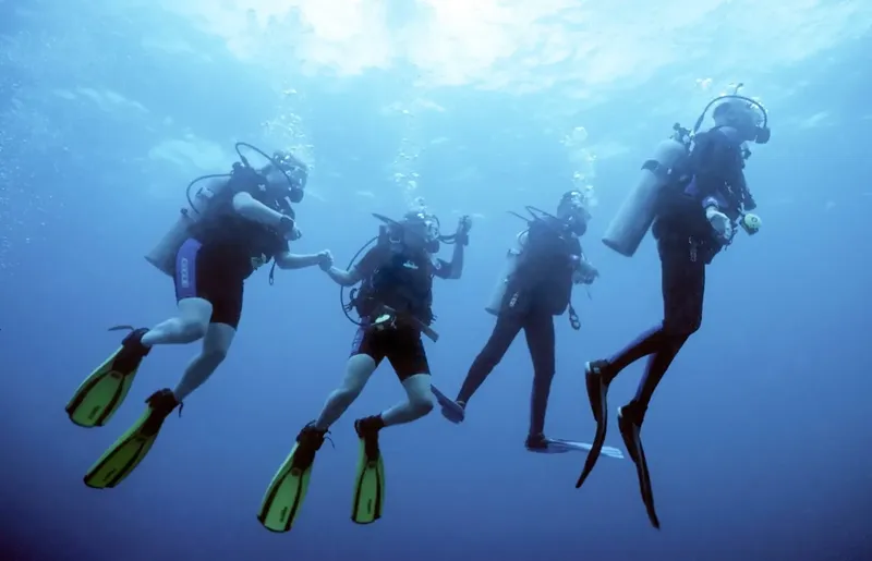 Quatre plongeurs évoluent ensemble dans une eau bleue et lumineuse