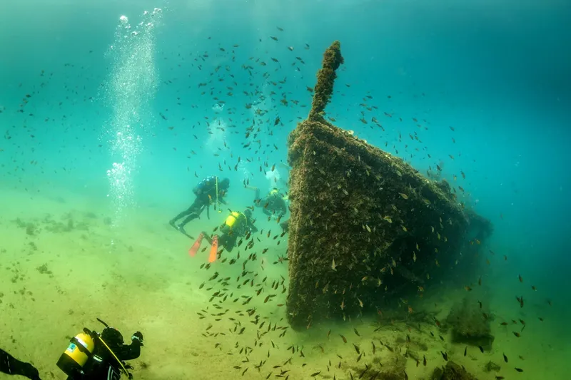 Plongeurs explorent l'épave d'un bateau colonisé par des poissons