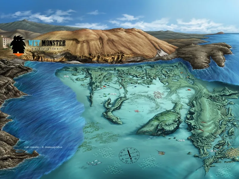 Carte illustrant un site de plongée avec reliefs sous-marins et faune