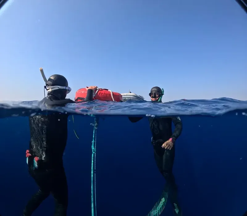 Deux apnéistes en combinaison s'observent sous la surface de l'eau