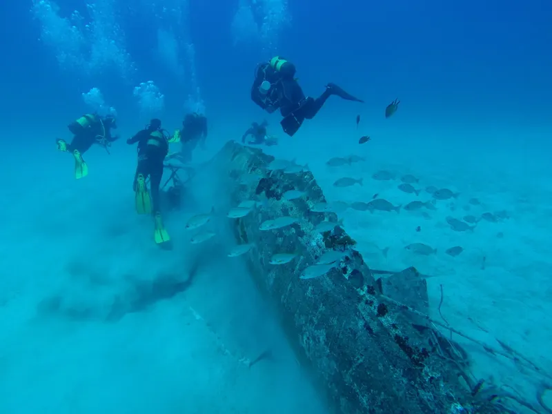 Plongeurs explorent une épave sous-marine avec des bancs de poissons