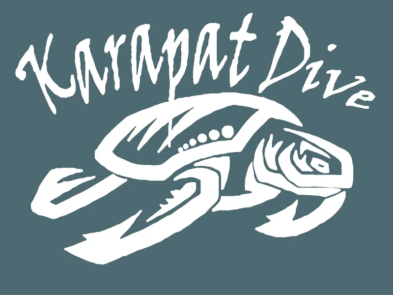 Logo du centre de plongée avec une tortue marine stylisée