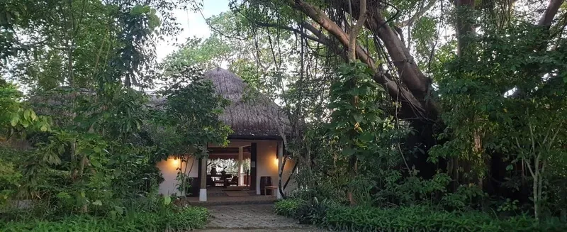 Bâtiment avec toit de chaume entouré de végétation luxuriante et d'arbres
