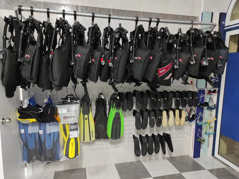 Rangées de gilets stabilisateurs, palmes et masques dans un magasin de plongée